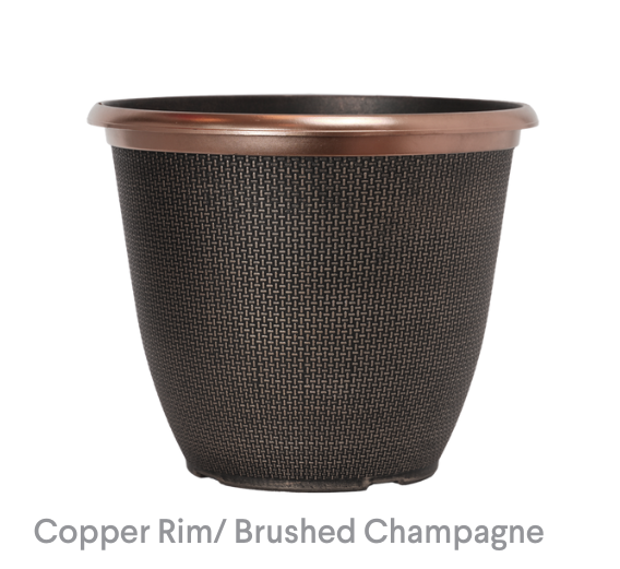 image of Copper Rim Brushed Champagne planter